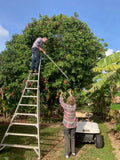 Lychees 10 lb box