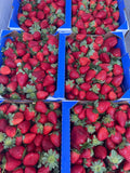 Local Strawberries