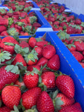 Local Strawberries