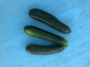 Zucchini