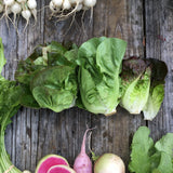 French Farms Salad Share CSA 2023-2024 season, half payment