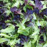 French Farms Salad Share, 1st payment 75%  price bracket