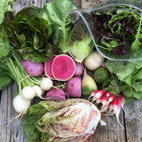 French Farms Salad Share, 1st payment 125% price bracket