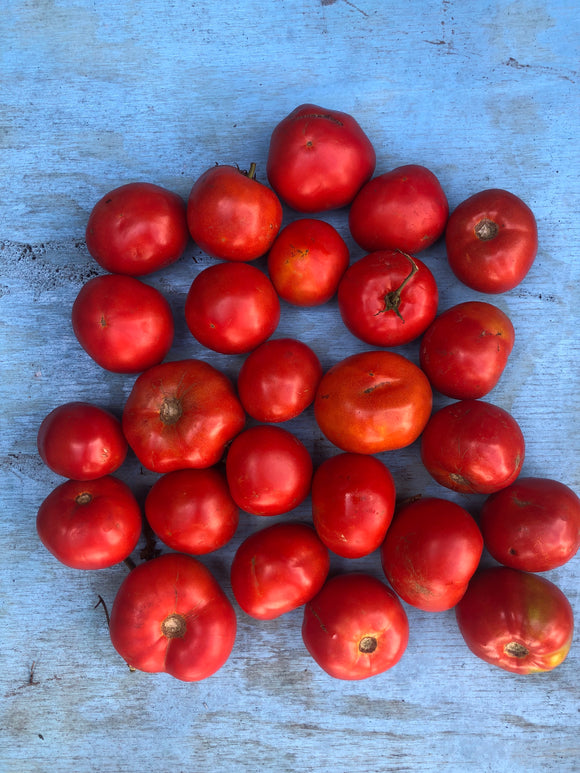 Beefsteak Tomatoes