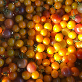 French Farms Cherry Tomatoes